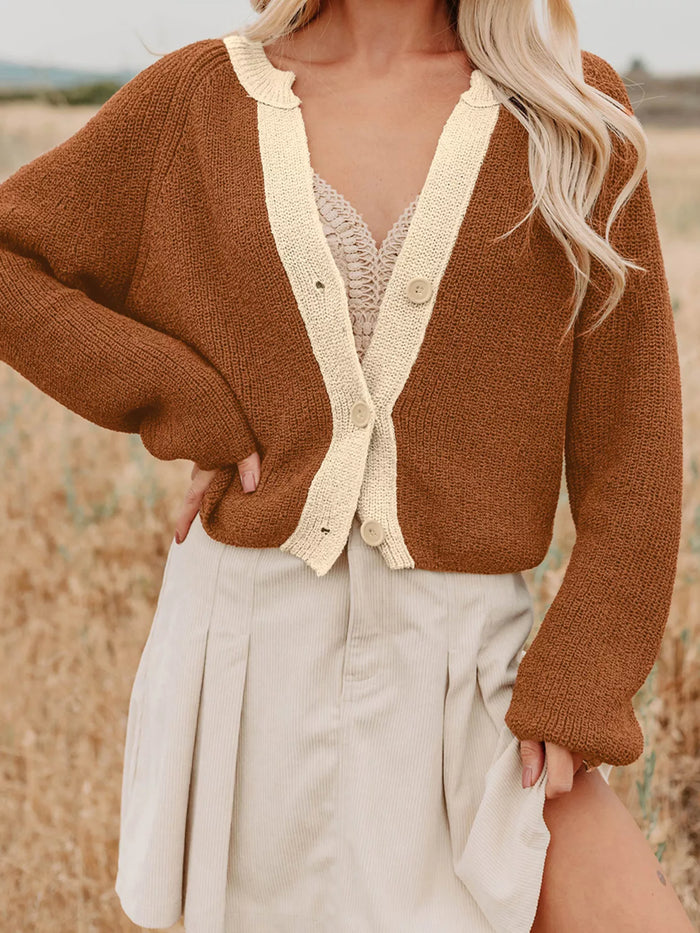 Cozy Knits