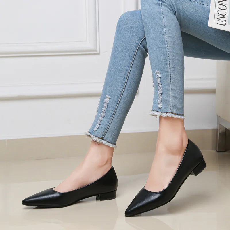 Pointed Toe Low Heel Pump Black - Fashorio