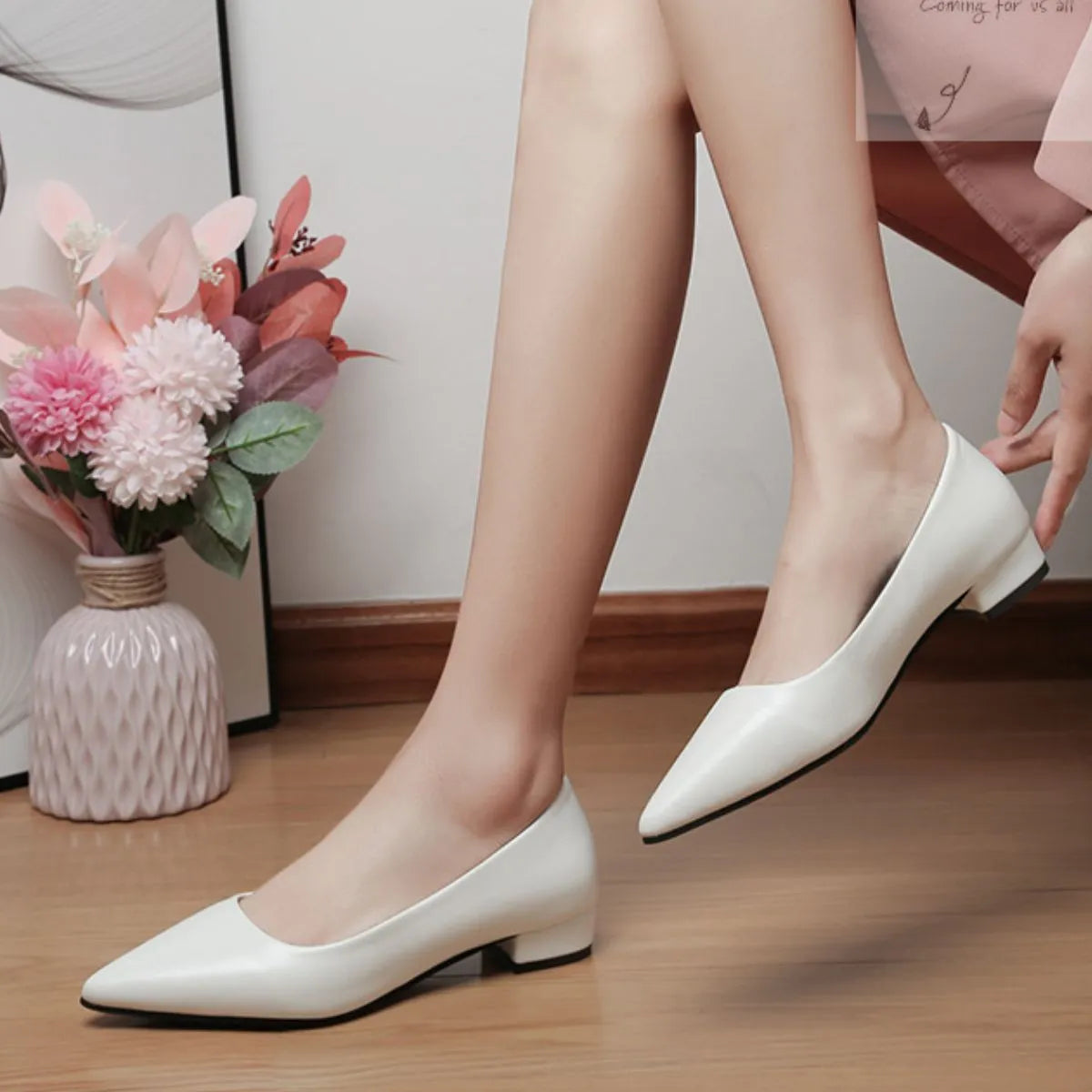 Pointed Toe Low Heel Pump - Fashorio