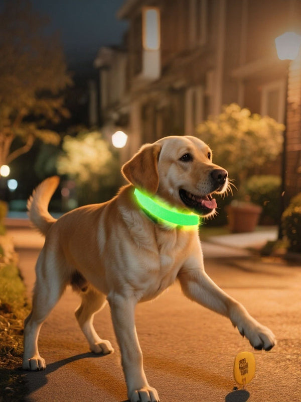 Dog collar and cat collar