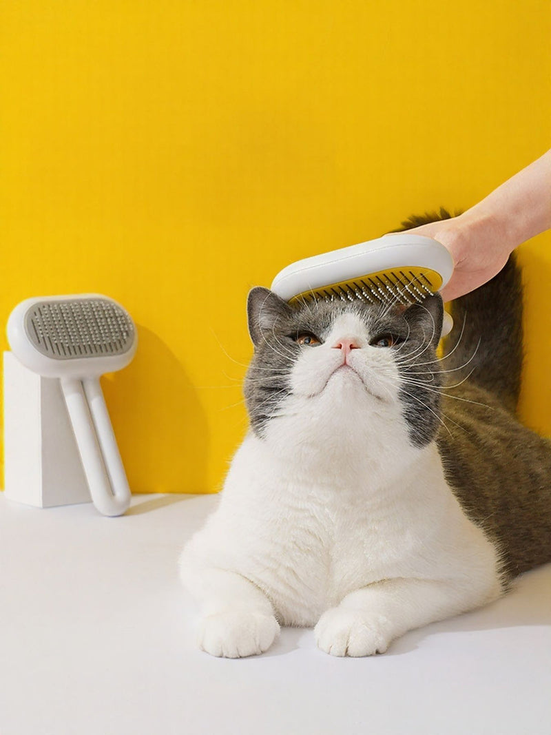 Best selling pet clothes and accessories