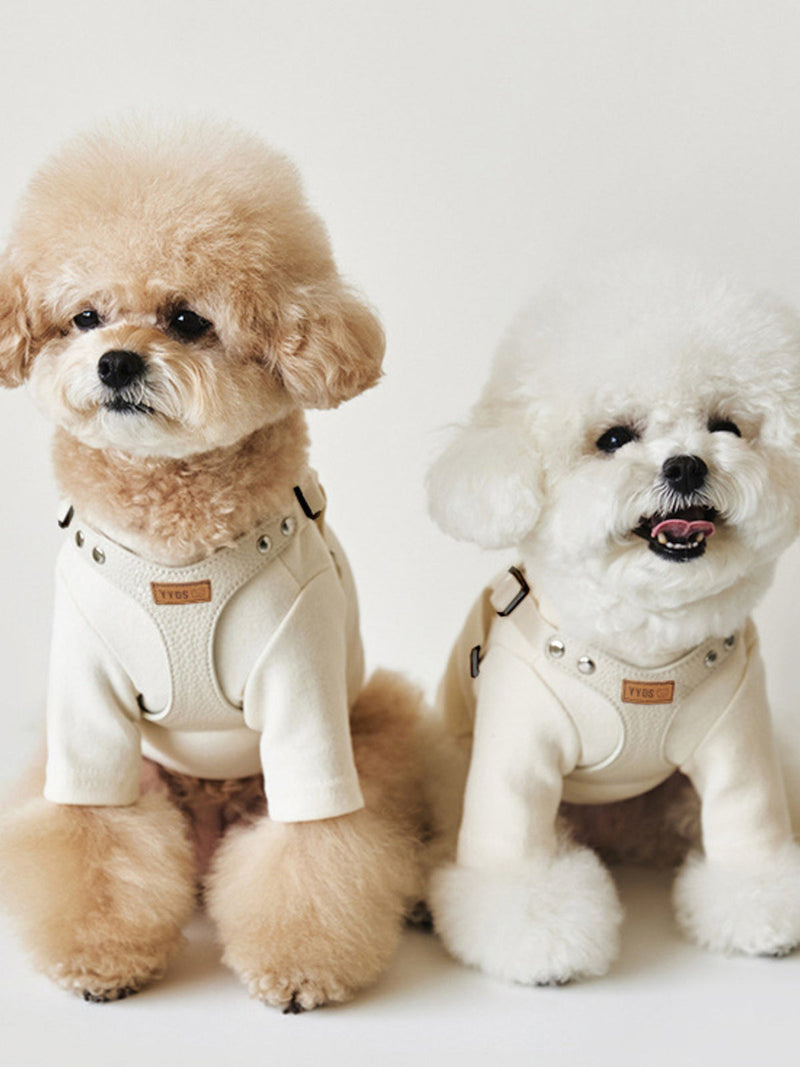 Dog harness and cat harness with leash