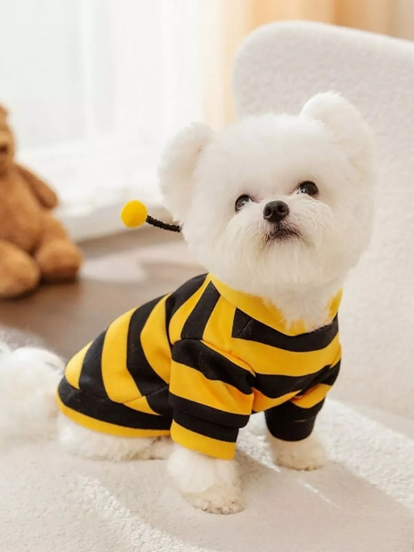 Dog sweater and pet hoodie