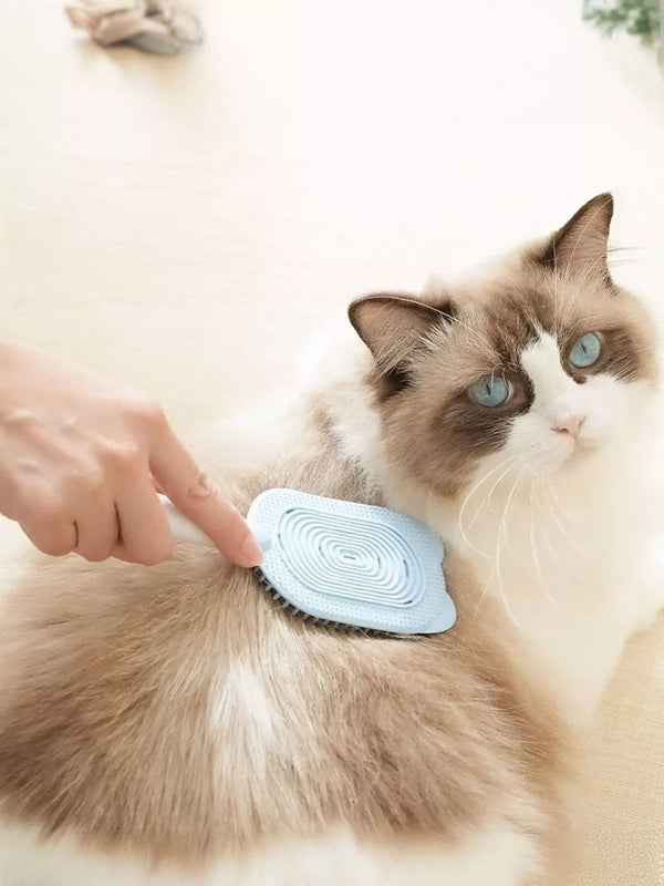 Pet