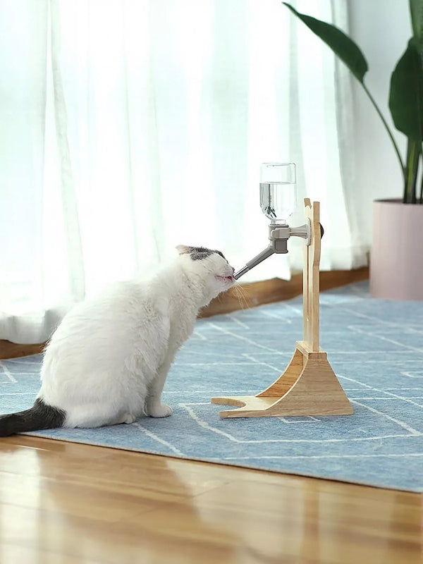Cat water fountain with circulating water