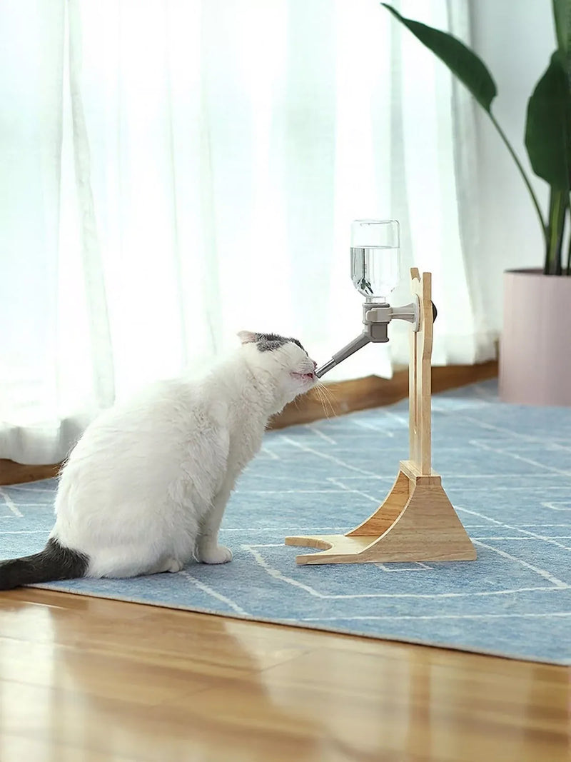 Cat water fountain with circulating water