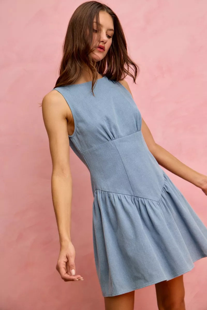 Fit And Flare Sleeveless Denim Mini Dress back view