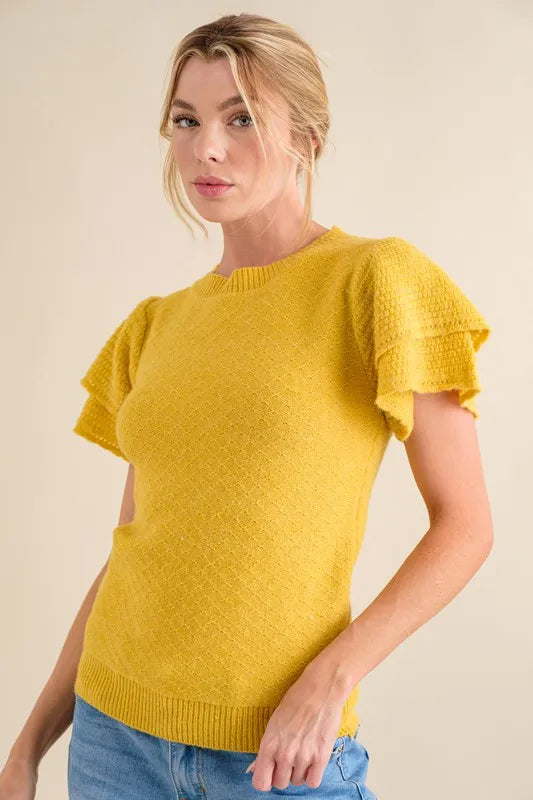 And The Why Double Layered Ruffle Sleeves Sweater Top - Fashorio