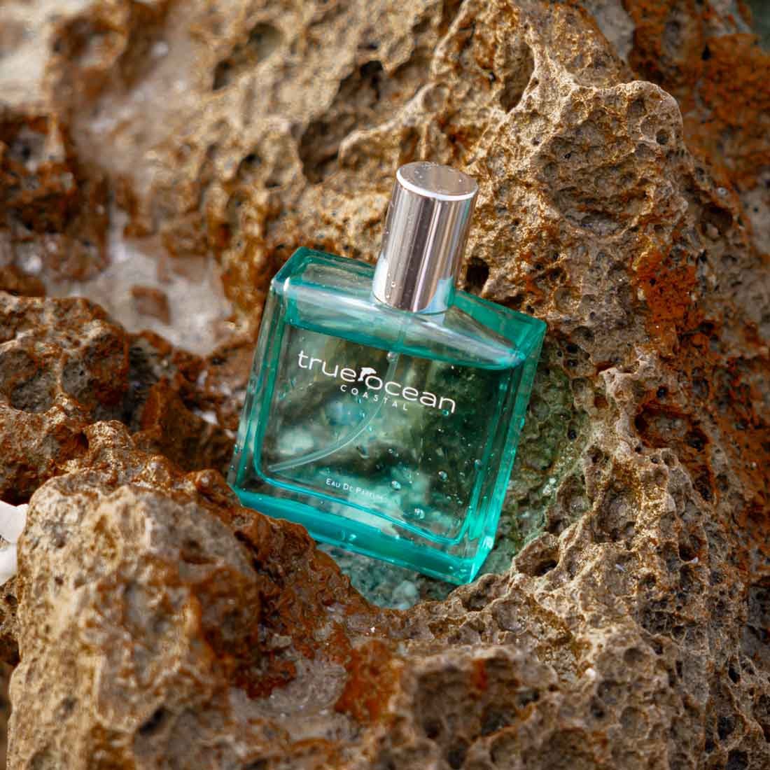 Coastal perfume elegant warm coastal blend