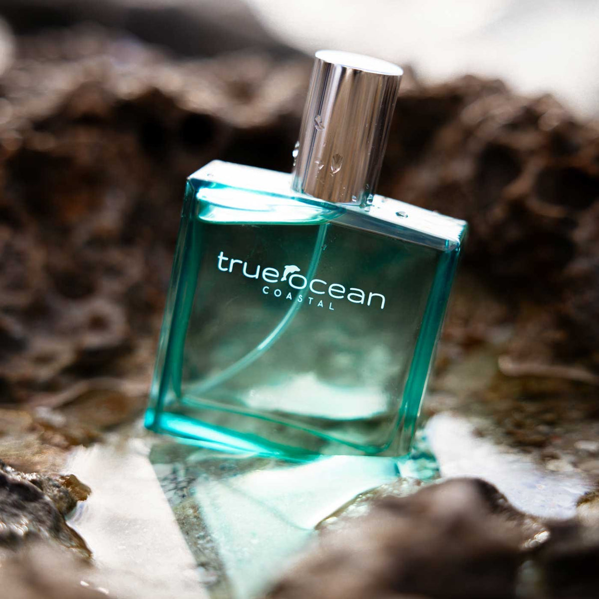 Coastal beach perfume breezy coastal fragrance