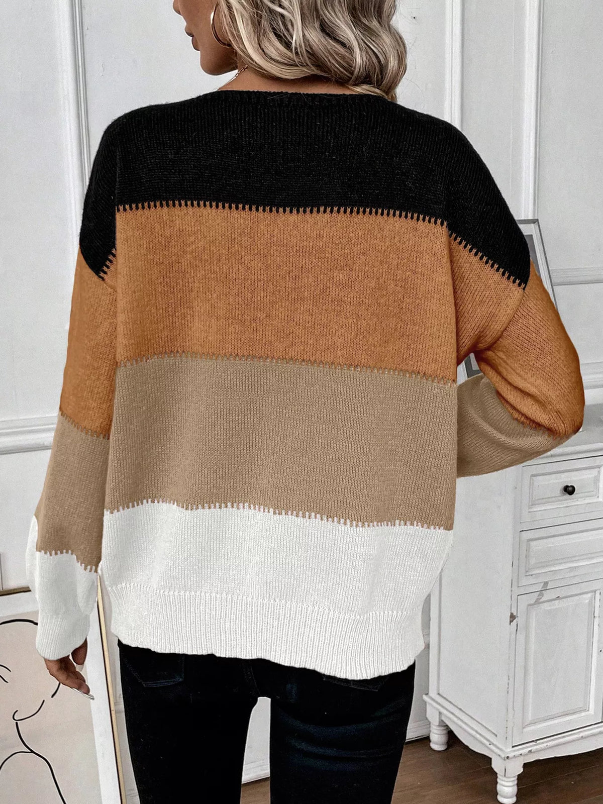 Color block round neck knit sweater, back view