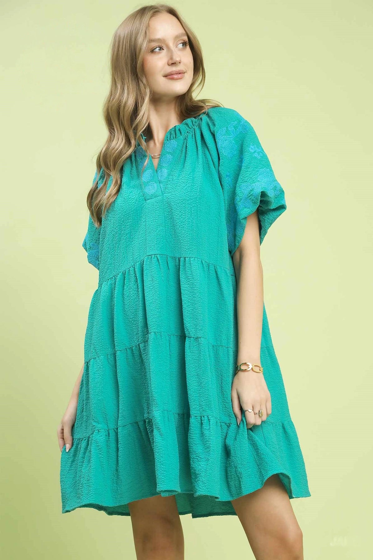 Embroidered Tiered Puff Sleeve Mini Dress