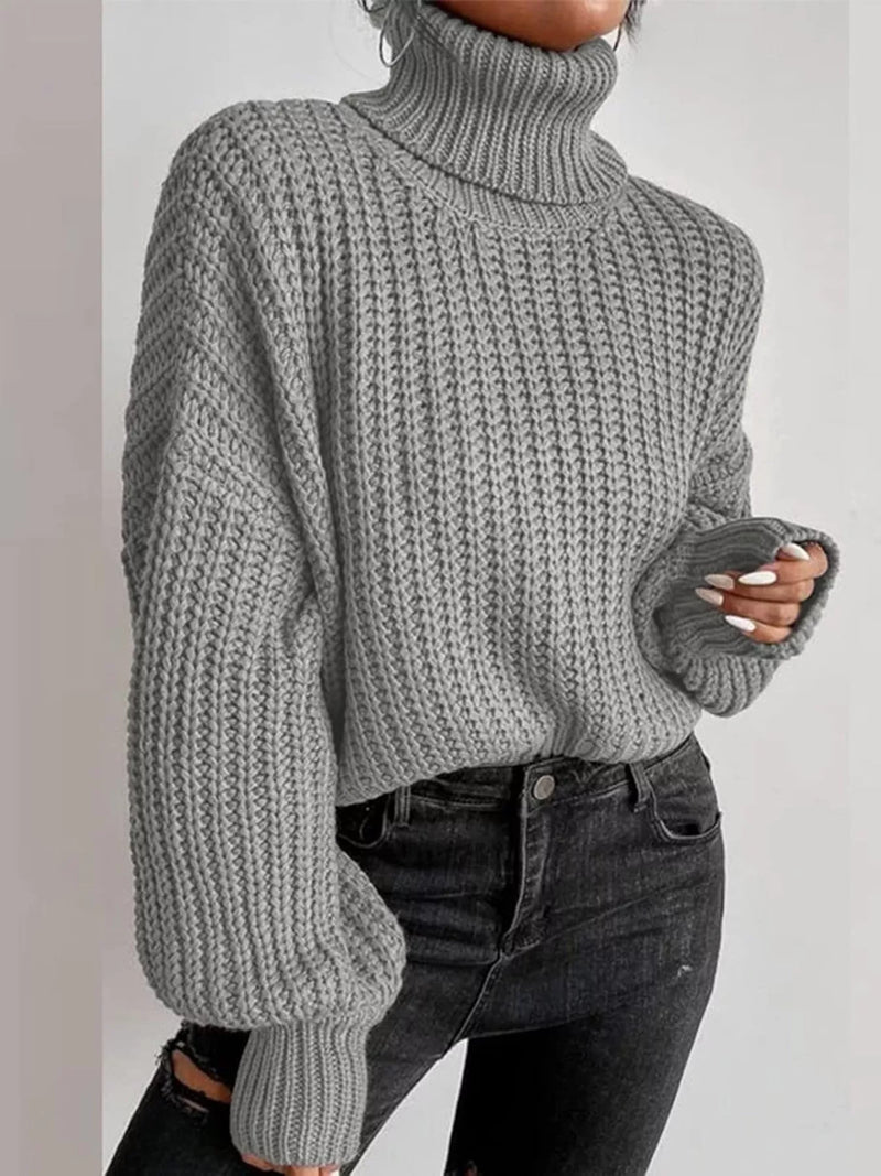 Gray chunky knit turtleneck sweater front view