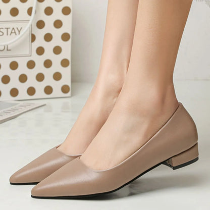 Pointed Toe Low Heel Pump - Fashorio