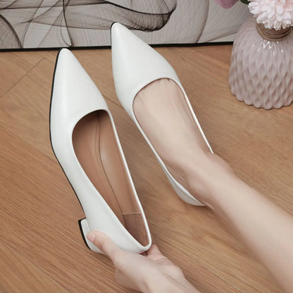 Pointed Toe Low Heel Pump - Fashorio
