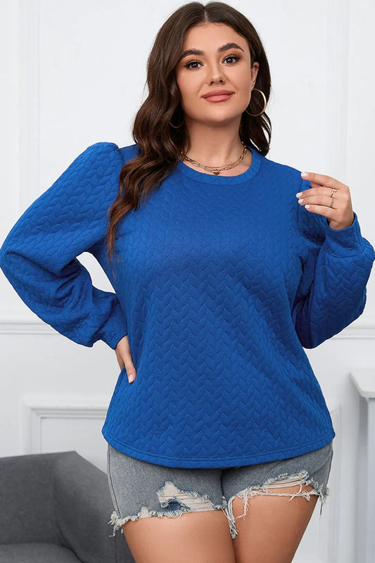Plus Size Textured Round Neck Long Sleeve Top - Fashorio
