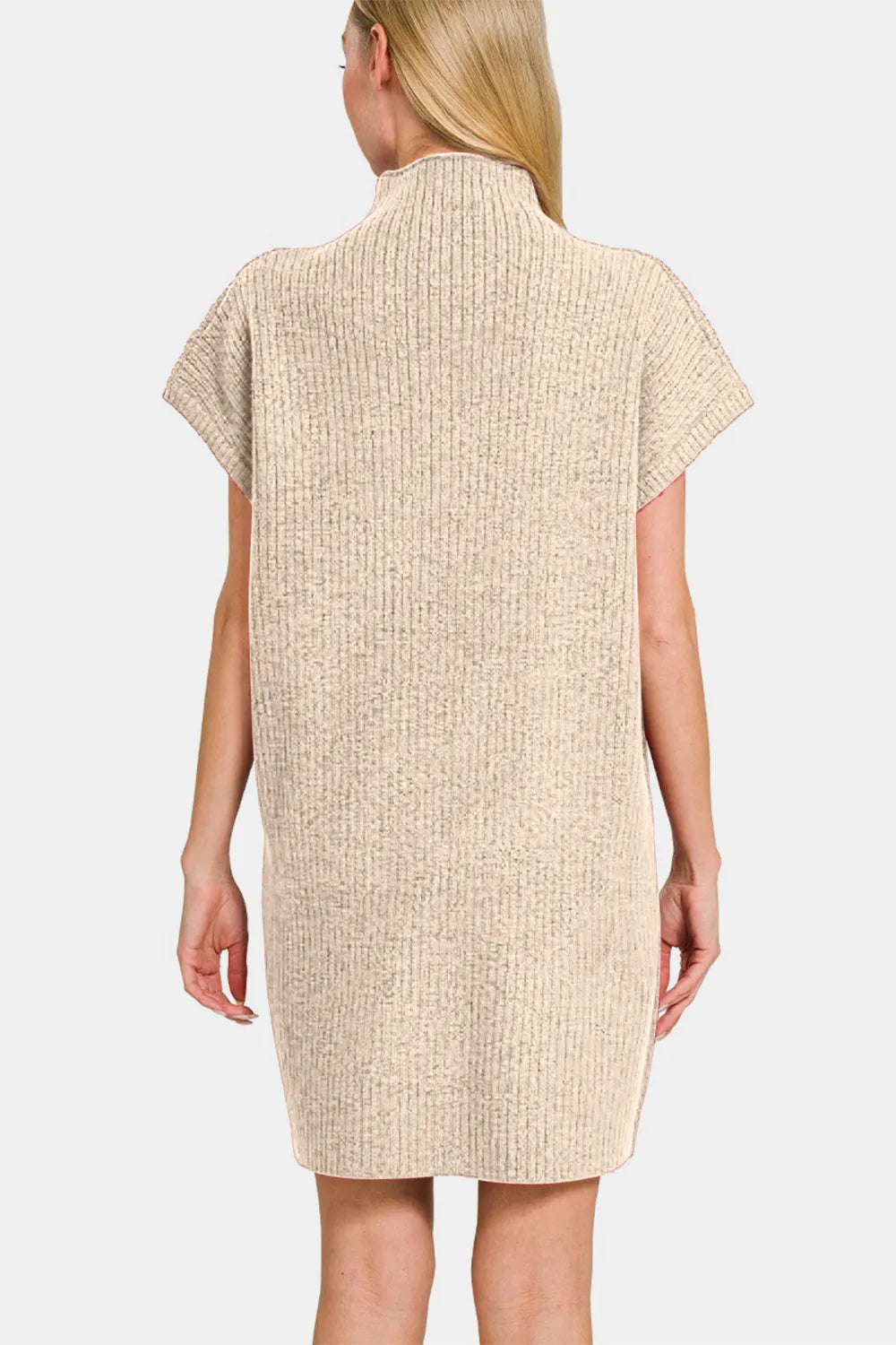 Ribbed Short Sleeve Sweater Mini Dress back view