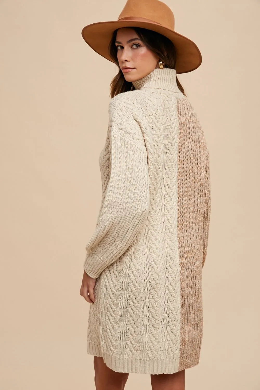 Color Block Turtleneck Sweater Dress in Taupe back view