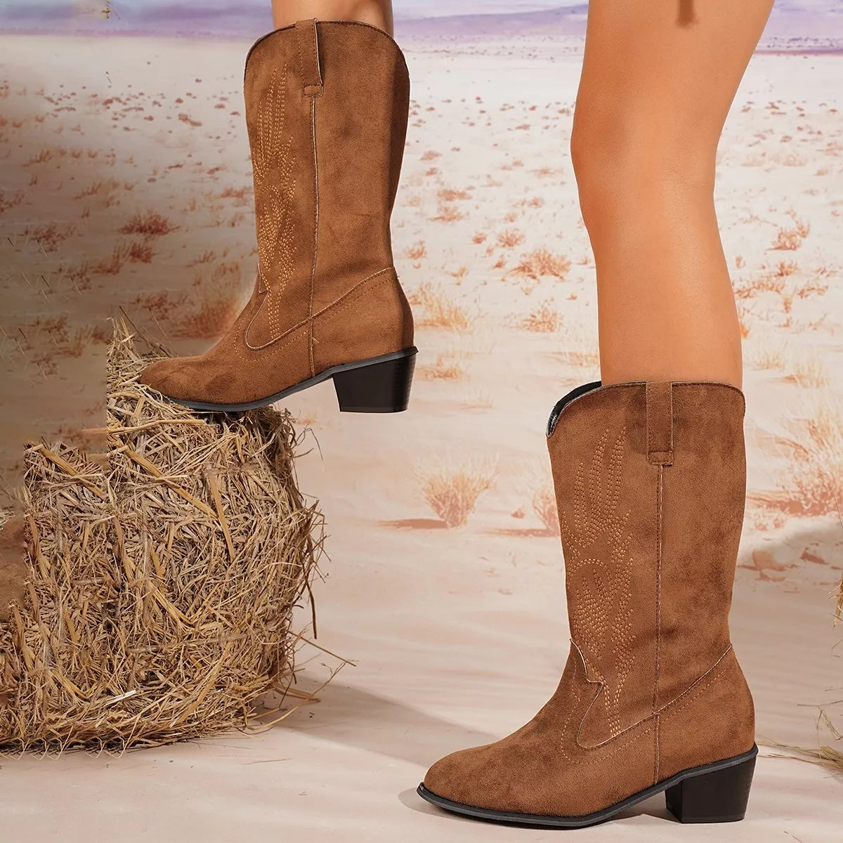 Point toe block heel boots, pair placed together