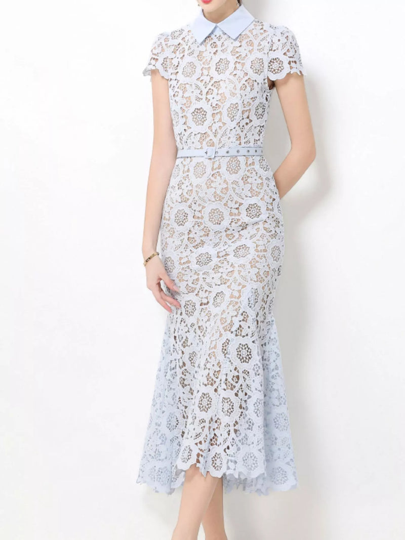 Lace short sleeve midi dress front view