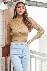 B.J.S Camel / S Openwork Plaid Round Neck Cropped Sweater