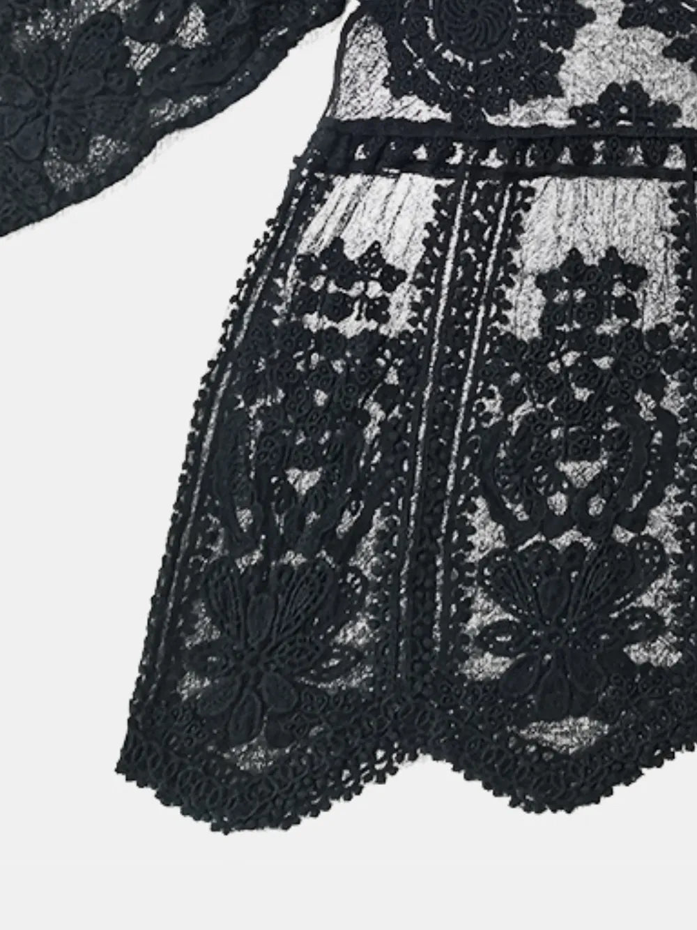 Sheer lace cover up full length view