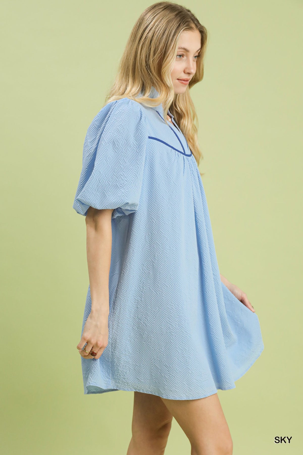 Seersucker Puff Sleeve Dress back view