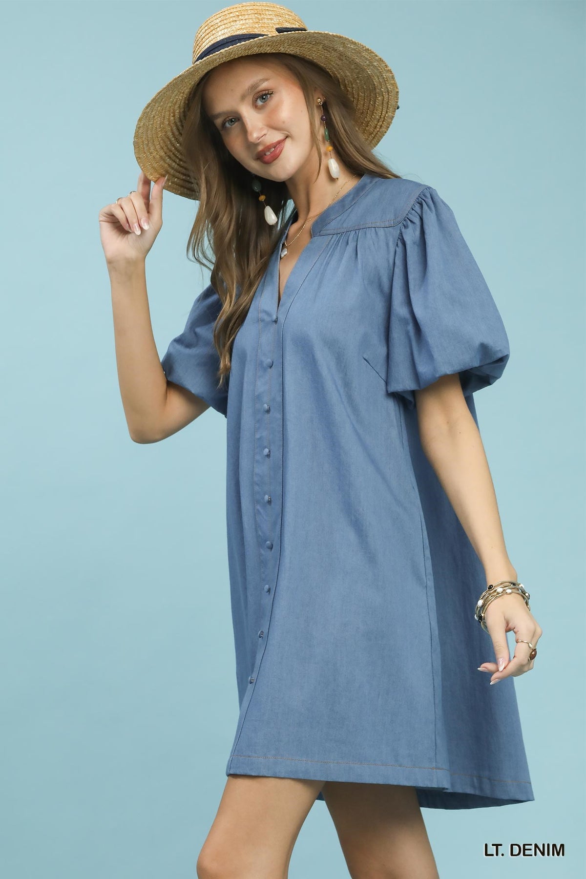 Chambray Puff Sleeve Dress in Light Denim back view