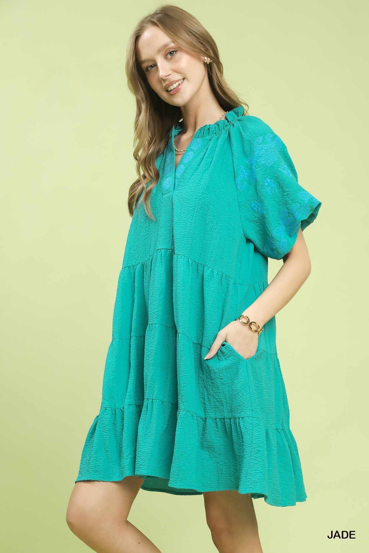 Embroidered Tiered Puff Sleeve Mini Dress back view