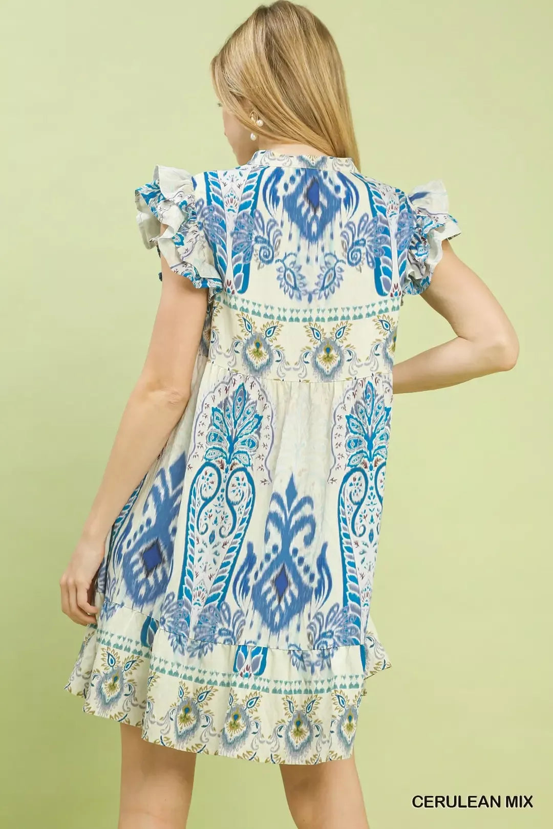 Back view of the Umgee ruffle sleeve dress