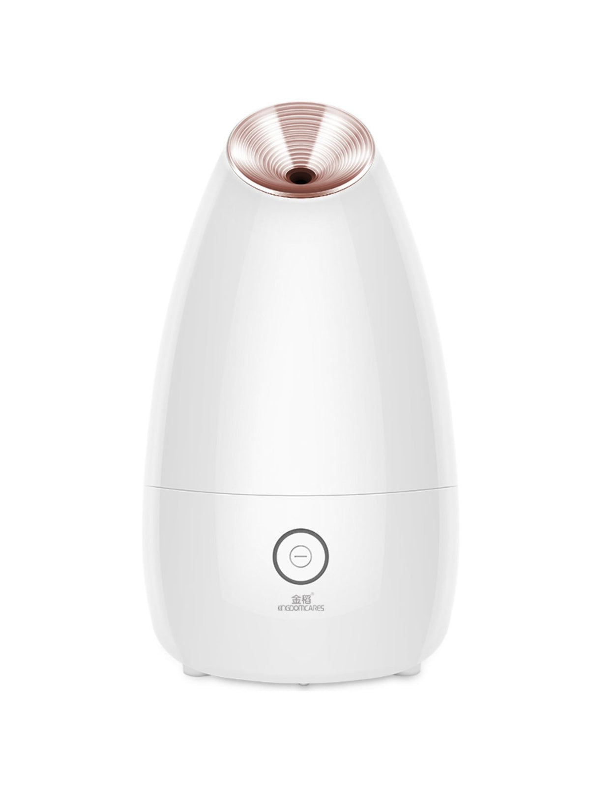 Facial steamer ready to use