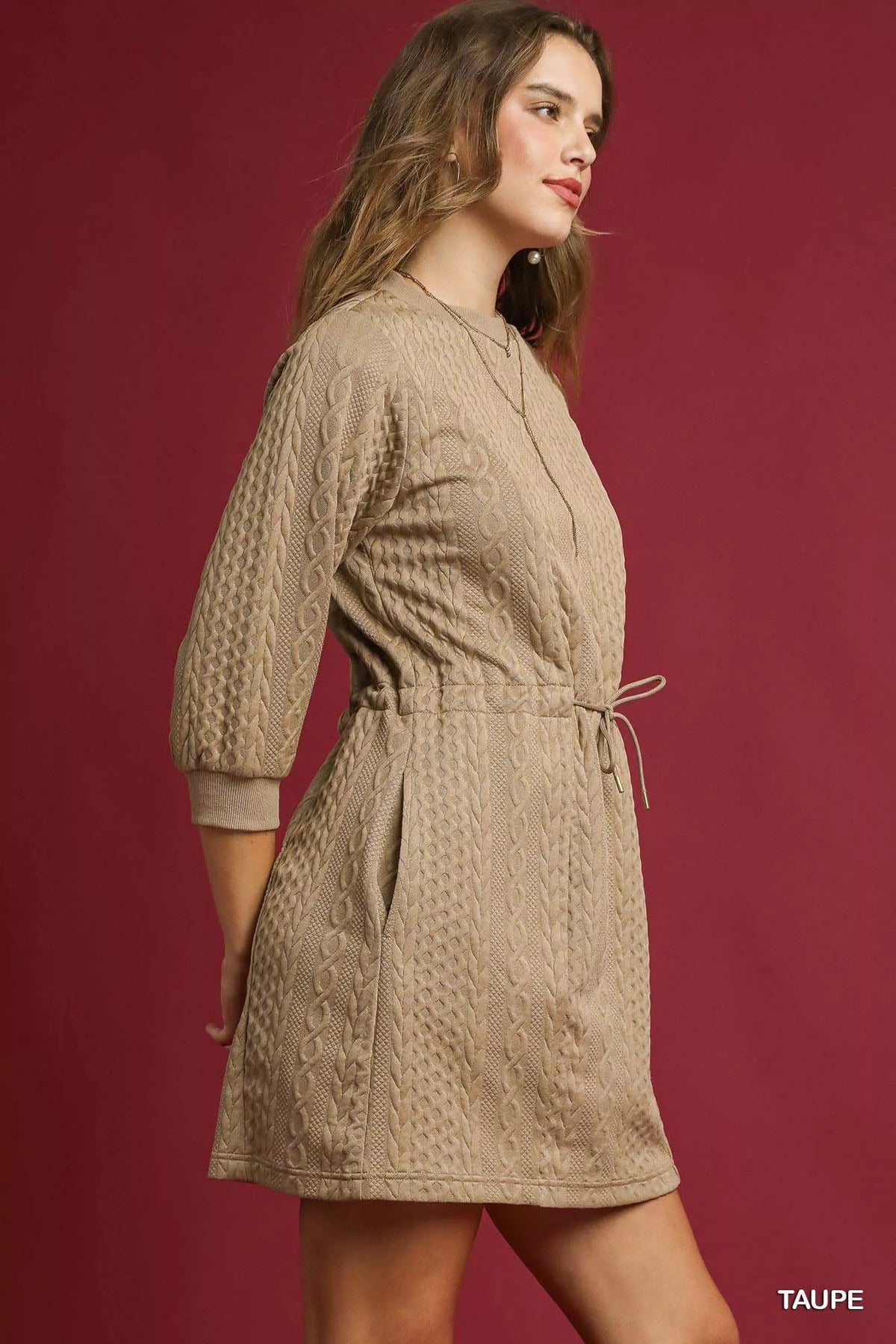 Drawstring Cable Knit Mini Dress with Pockets back view