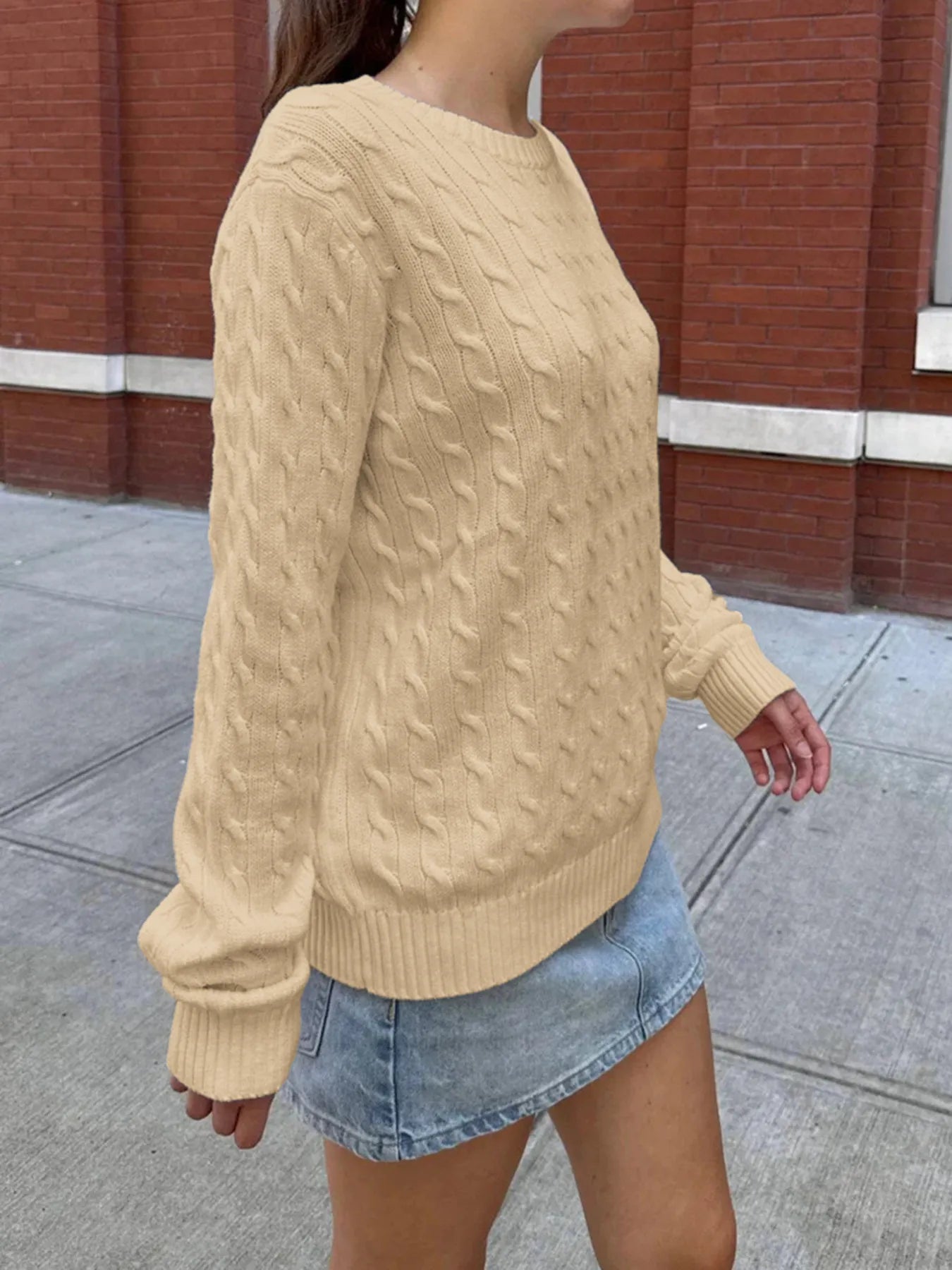 Devine Knit Tops Cable-Knit Round Neck Pullover Sweater