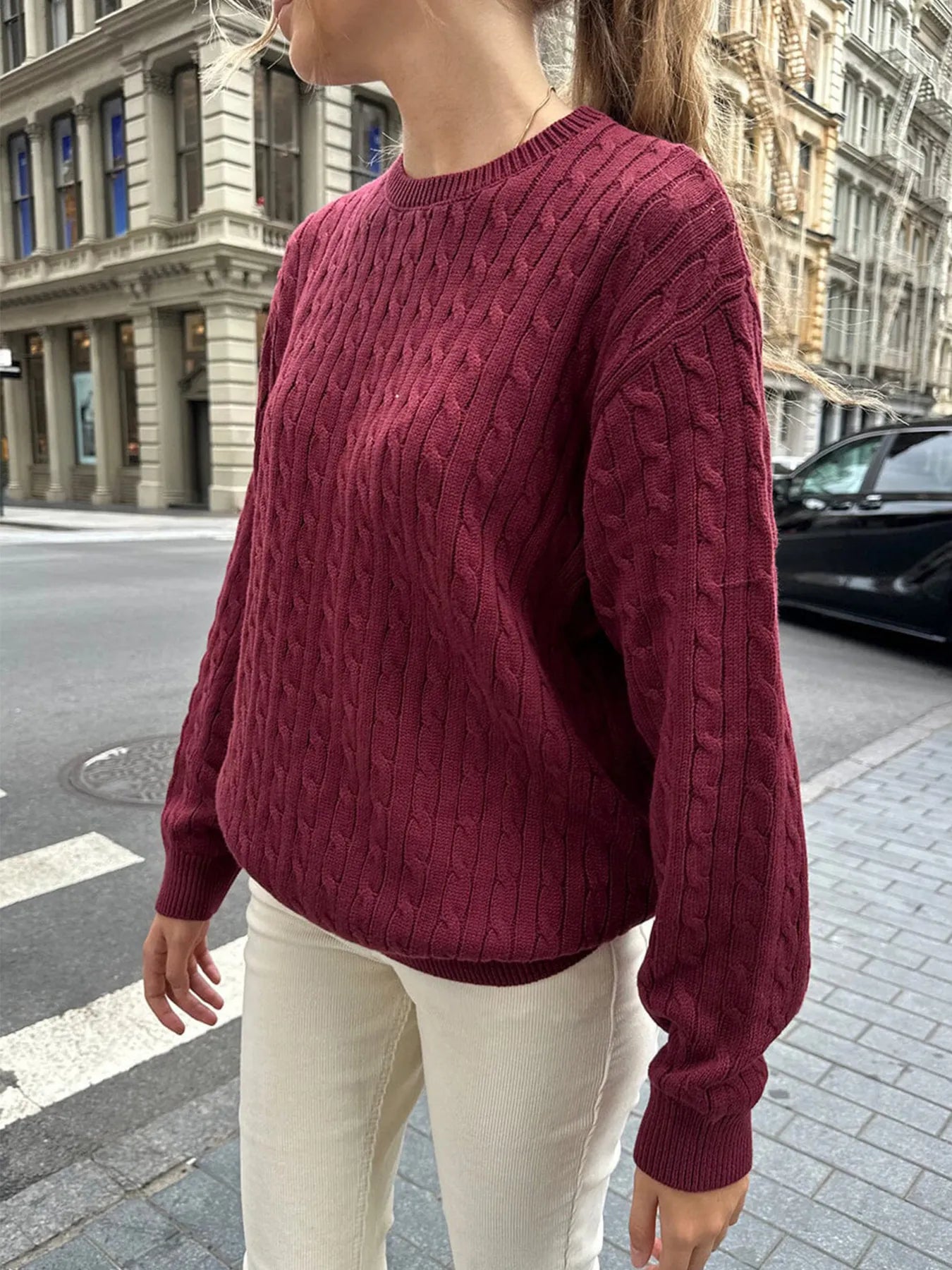 Devine Knit Tops Cable-Knit Round Neck Pullover Sweater