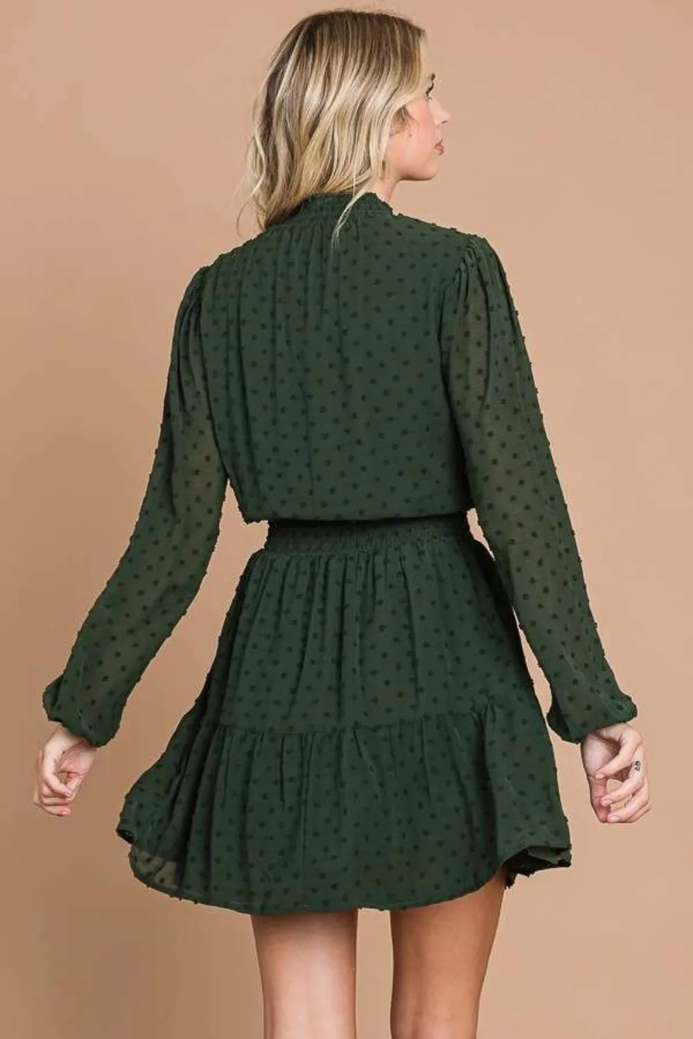 Swiss Dot Smock Neck Mini Dress with Pockets back view