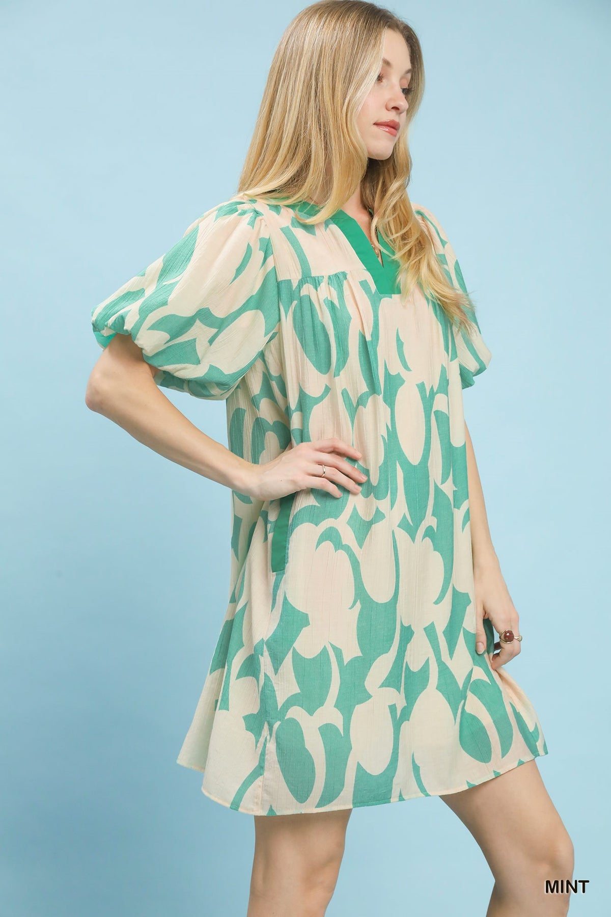 Abstract Print Puff Sleeve Shift Dress back view