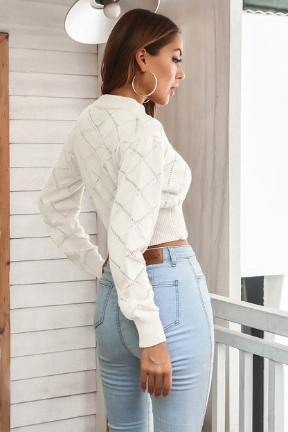 Openwork Plaid Round Neck Cropped Sweater - Fashorio