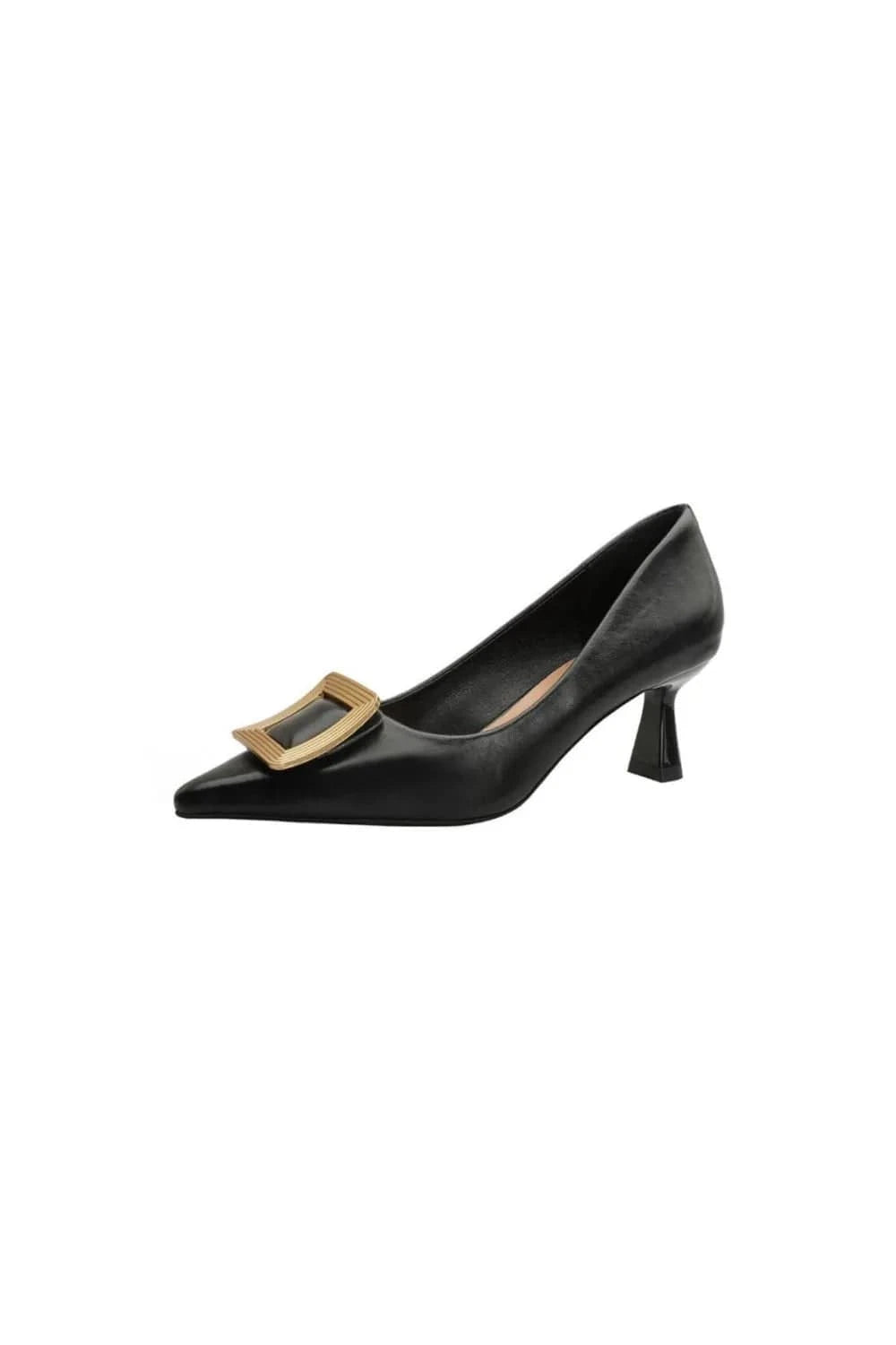 Point Toe Flare Heel Pumps Black - Fashorio