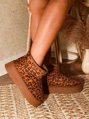 Fashorio Sneakers Leopard / 6 WILD DIVA Thermal Furry Leopard Platform Booties