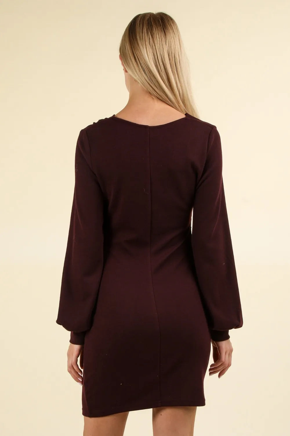 Ruched Detail Bodycon Mini Dress back view